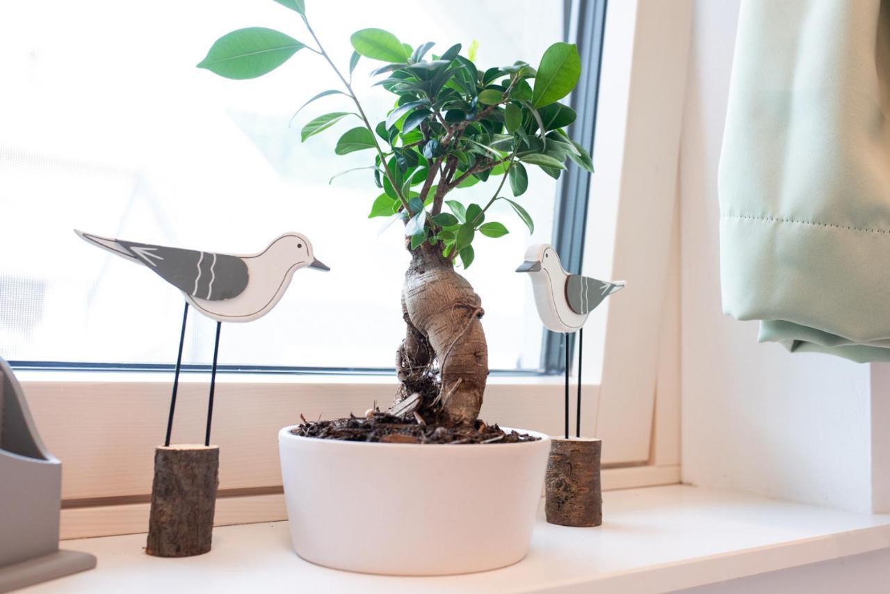 Apple Tree Apartment Μπλεντ Εξωτερικό φωτογραφία